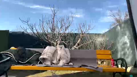 Snapshot of squirt_bunny77 chatting on 03.07.25 My name is Maya Lush is activeThere are legends that in this room all your wishes can come true Private is Open online show from 03.07.25