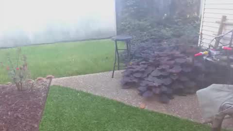 srtxshow online show from 10.16.25