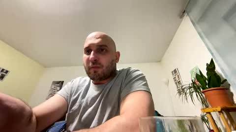 sta13 online show from 04.02.26