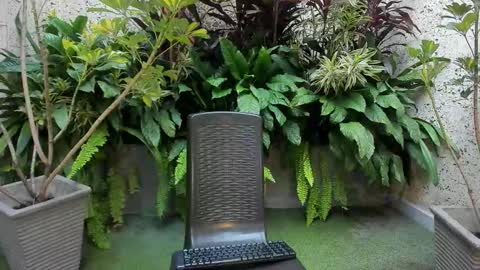 STAAR HOT online show from 02.01.26