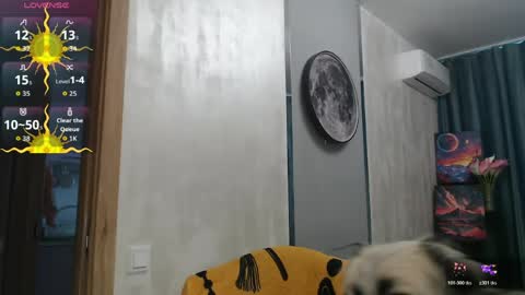 STACY online show from 05.28.26