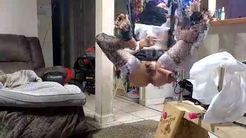 Snapshot of stacytasteme chatting on 11.12.25 Submissive Slut LOVES adoration online show from 11.12.25