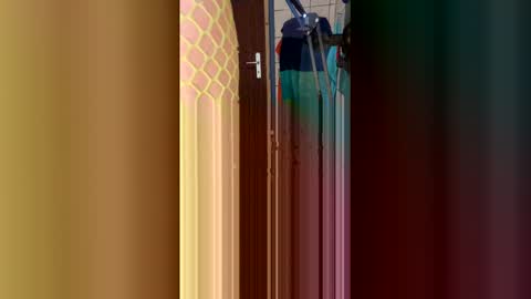 stambo0704987834 online show from 01.17.26