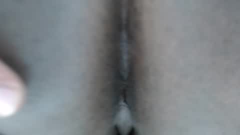 calvin online show from 01.10.26