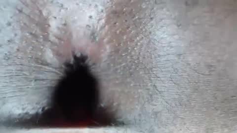 calvin online show from 02.26.26