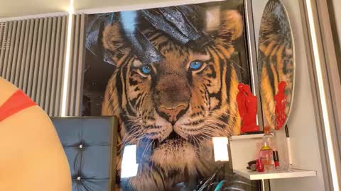 Snapshot of startevans chatting on 03.14.26 startevans online show from 03.14.26