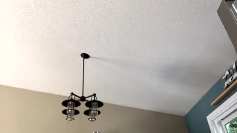 Snapshot of steakman007 chatting on 02.23.25 Steakman online show from 02.23.25