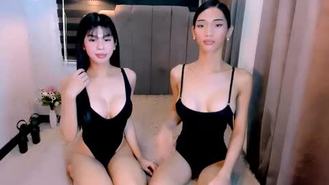 STEF online show from 02.20.26