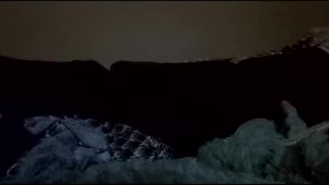 stefy1037 online show from 04.18.26