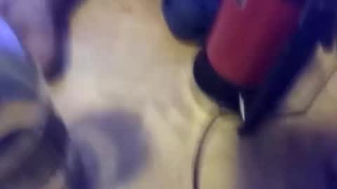 anube krato online show from 10.19.25