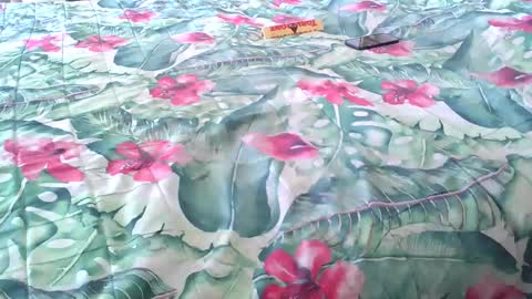 Rocco-load online show from 04.04.26