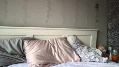 stelladams online show from 03.04.26