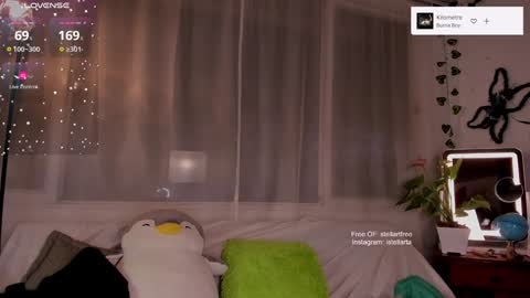 stellart_ online show from 01.12.25