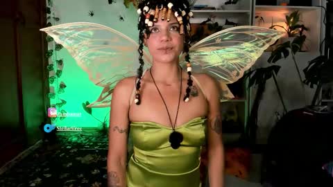 stellart_ online show from 11.01.25