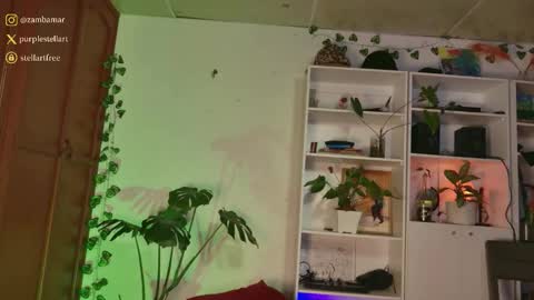 stellart_ online show from 12.03.25