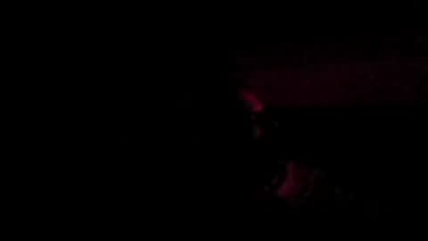 stephan6078 online show from 07.31.26