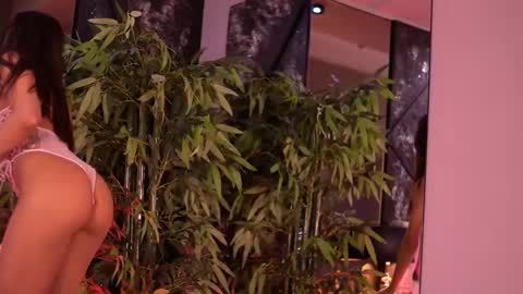 Steph online show from 01.13.26