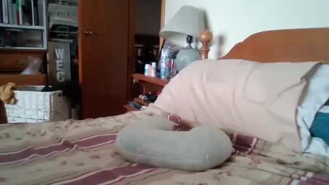 Ian23602 online show from 02.06.26