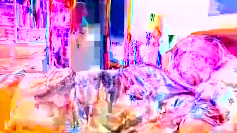 Ian23602 online show from 02.28.26