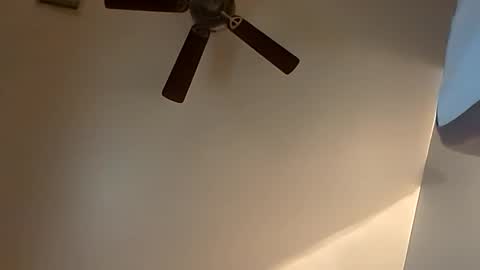 sterng123 online show from 10.20.25