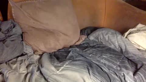 STEVE CASHMASTER 1comedia online show from 02.20.25