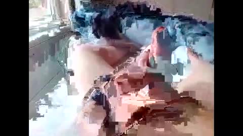 stevie_y19 online show from 02.14.25