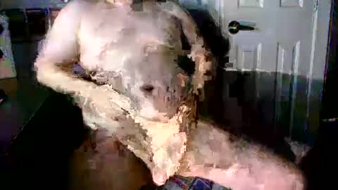 StockynCuddly online show from 10.16.25