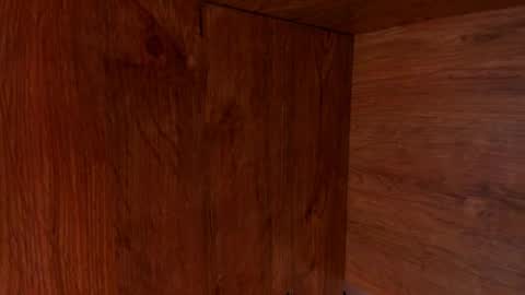 Stone Lee  online show from 02.23.25