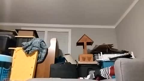 Snapshot of str33twyz3 chatting on 10.23.25 Streetwyze online show from 10.23.25