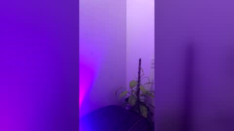 straight_boys_hornys online show from 12.20.25