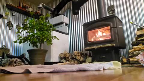 stricktlypleasure online show from 01.04.25