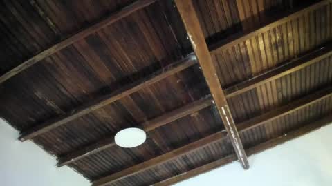 Alexa   online show from 04.24.26