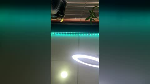 strong_rock69 online show from 03.28.26