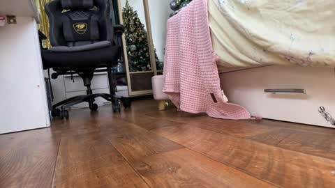 Snapshot of strupedsunicorns chatting on 01.12.25 goddess online show from 01.12.25