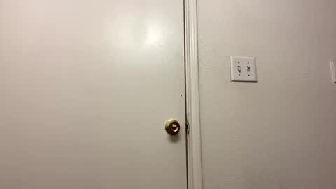 Snapshot of stud4u21 chatting on 03.02.25 stud4u21 online show from 03.02.25