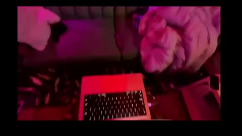 studio4three online show from 02.26.25