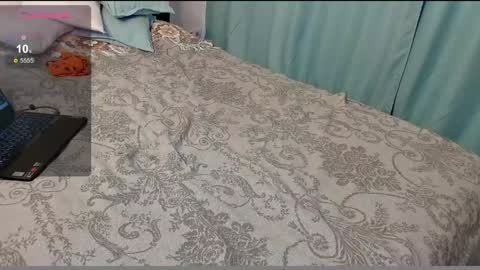 Snapshot of stupid_little_kitten chatting on 12.06.24 stupid little kitten online show from 12.06.24