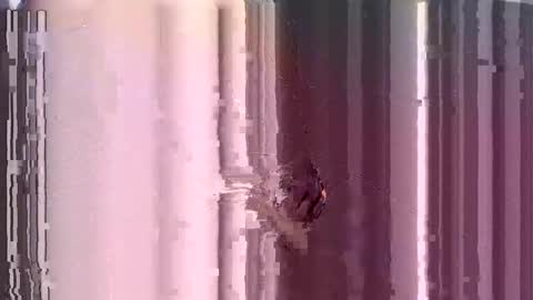 Snapshot of submissive_kory chatting on 12.03.24 ControlMeViaTeamviewer online show from 12.03.24