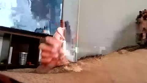 suckable92 online show from 04.18.26