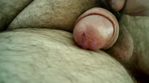 Samenspender online show from 11.07.25