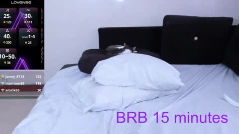 Snapshot of sumeragi_cat chatting on 01.03.25 Nicolle online show from 01.03.25