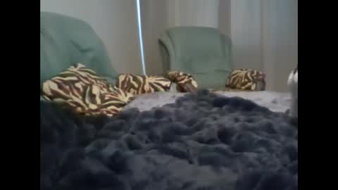 suni online show from 03.07.25