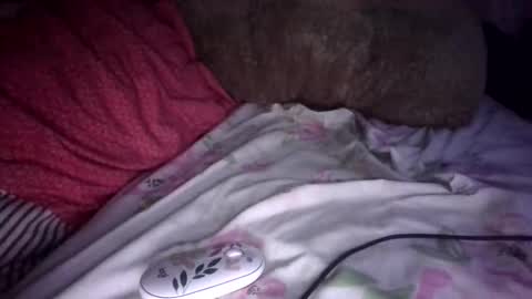 sunnkissed slick online show from 09.09.25