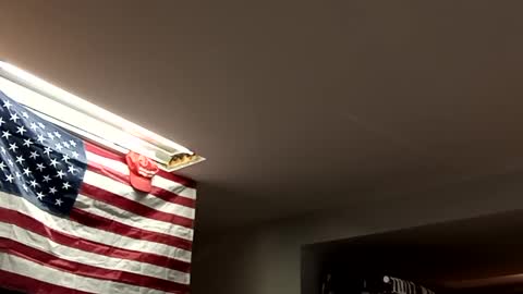 Super dave88 online show from 03.03.25