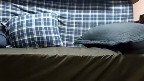 Super dave88 online show from 09.28.25