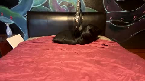 Stony online show from 04.11.26