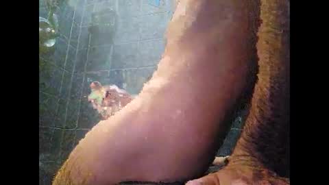 surferxzx online show from 01.27.25