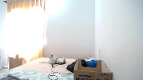 Snapshot of susanaduncann chatting on 01.23.25 Susana online show from 01.23.25