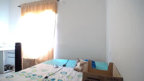 Snapshot of susanaduncann chatting on 02.09.25 Susana online show from 02.09.25