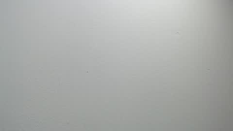 sussy leon online show from 02.11.25